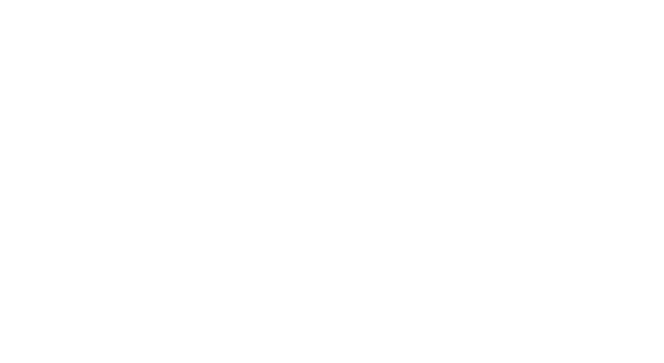 Blissy Nederland